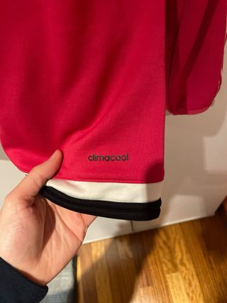 Felpa Adidas Juventus 2015/16