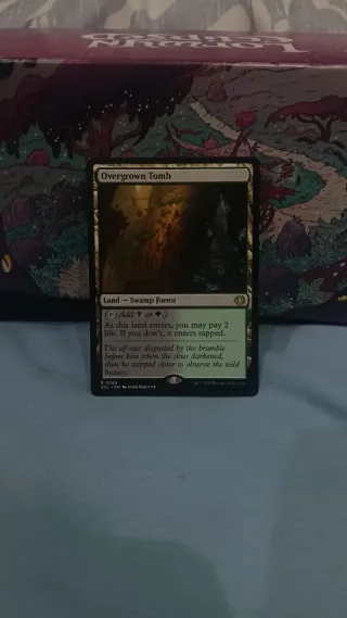 Overgrown Tomb - Magic The Gathering (EN) Lorwyn