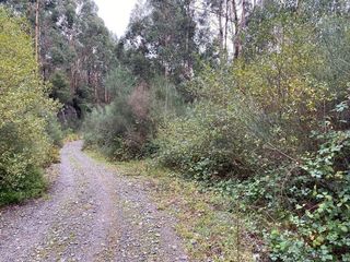 Terreno en venta en Moaña