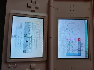 Nintendo DS Lite Rosa + Cargador