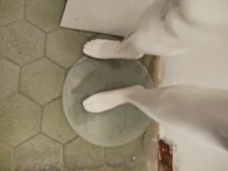 Maniquí de cuerpo entero