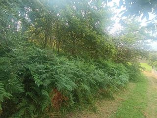 Terreno en venta en Coruxo - Oia - Saiáns en Vigo