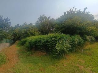 Terreno en venta en Coruxo - Oia - Saiáns en Vigo