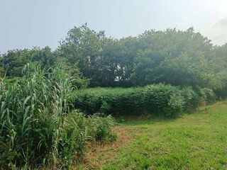 Terreno en venta en Coruxo - Oia - Saiáns en Vigo