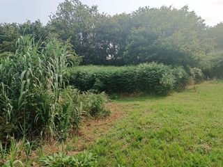 Terreno en venta en Coruxo - Oia - Saiáns en Vigo