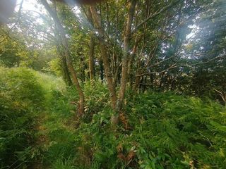 Terreno en venta en Coruxo - Oia - Saiáns en Vigo