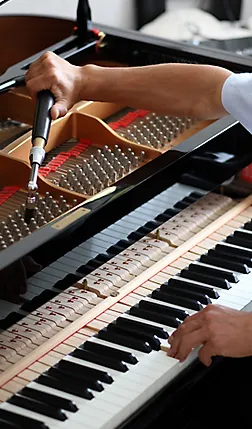 Servicio de Afinación de Piano