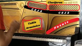 Servicio de Afinación de Piano