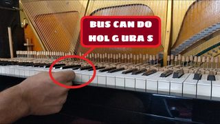 Servicio de Afinación de Piano