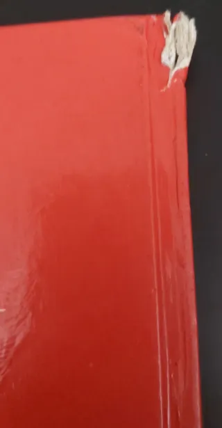 UNA SORPRESA PARA MANUELITA