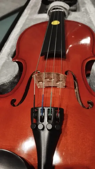 Viola 12 pulgadas con funda, arco y almohadilla.