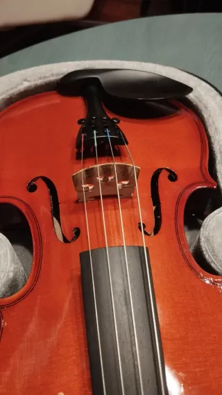 Viola 12 pulgadas con funda, arco y almohadilla.