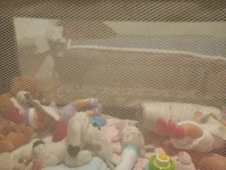 Parque cuna con  colchón