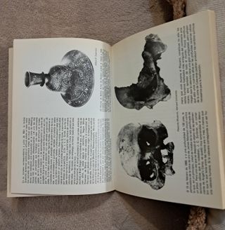 MUNDOS ANTERIORES AL NUESTRO (Libro documental)