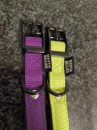 Collares para perro Martingale púrpura y amarillo