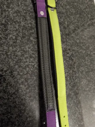 Collares para perro Martingale púrpura y amarillo