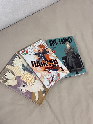 Mangas Variados