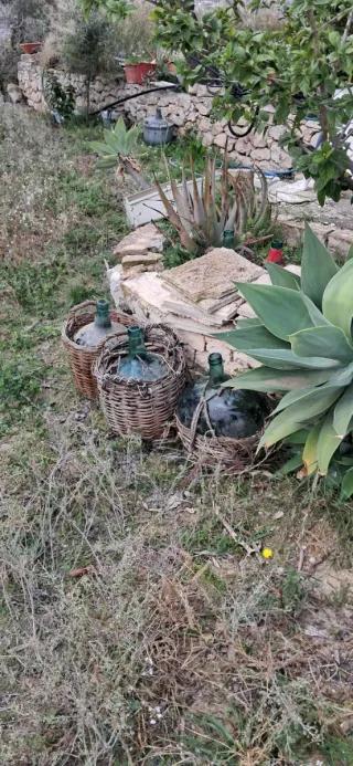 Damigianas varias y varias tamaños