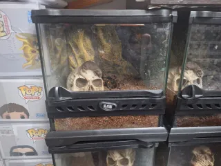 Terrario exoterra 22×22×22