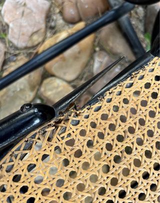 Lote 2 Mecedoras Antiguas Thonet Madera