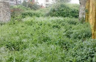 Terreno en venta en Travesía de Vigo - San Xoán en Vigo