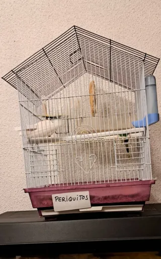 Jaula grande para Agapornis, Loro, etc.