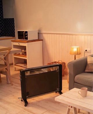 Placa radiador eléctrico Cecotec