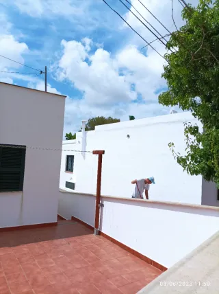 Pintor profesional con experiencia