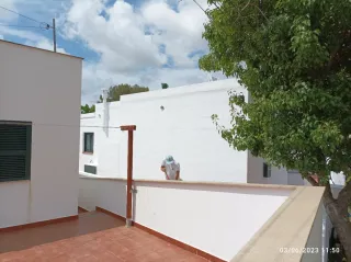 Pintor profesional con experiencia