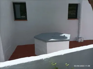 Pintor profesional con experiencia