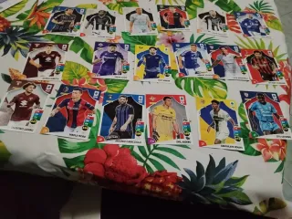 Figurine Calciatori Panini