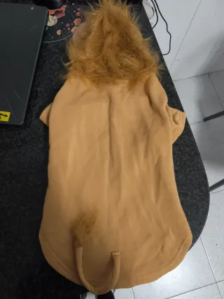 Disfraz león para perro