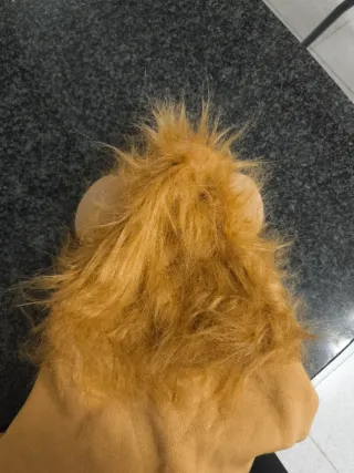 Disfraz león para perro