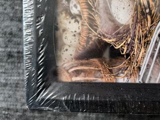 Pack de 6 marcos para fotos de 13x18 cm (NUEVO)