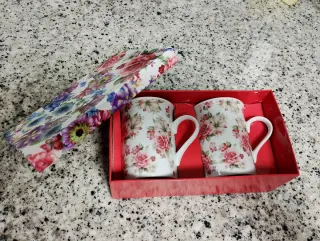Juego 2 Tazas Porcelana Flores Rosas