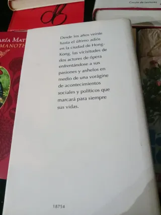 ADIOS MI CONCUBINA (novela)