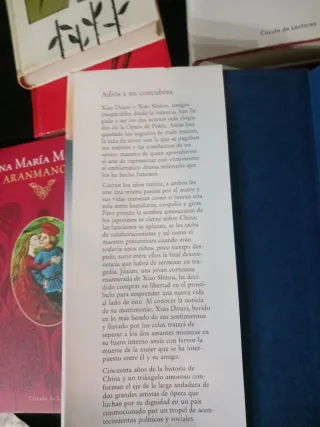 ADIOS MI CONCUBINA (novela)