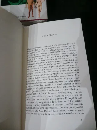 ADIOS MI CONCUBINA (novela)