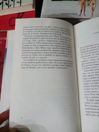 ADIOS MI CONCUBINA (novela)