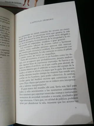 ADIOS MI CONCUBINA (novela)