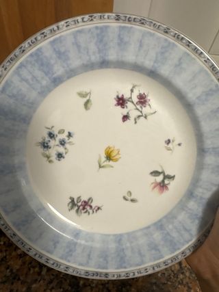 Vajilla de campo azul y blanca