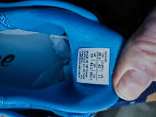 Asics Court FF Novak Clay Hombre