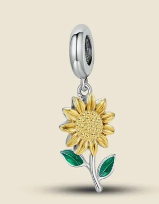 Abalorios de plata  para pulseras  hay varios mode