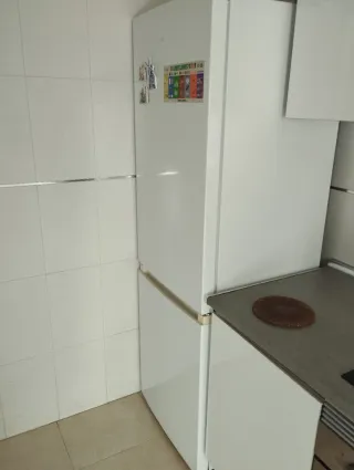 Nevera en buen estado