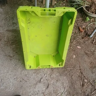 Cajas de plástico rígido verdes