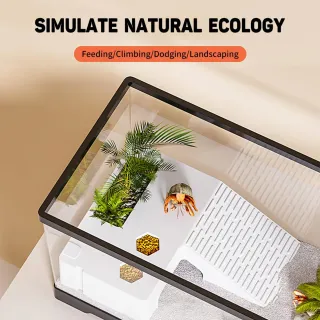 Pecera Tortugas KAKOOTI con Plataforma