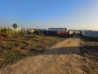 Se vende parcela en barbate