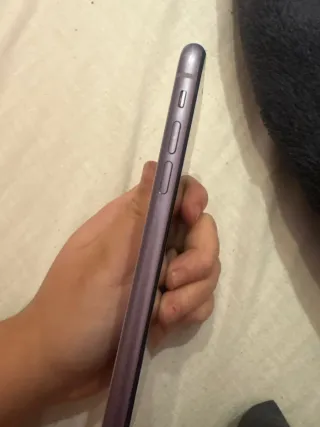 iPhone 11 Morado + 3 Fundas
