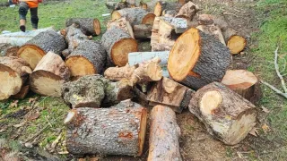 VENTA Y COMPRA DE PALETS DE MADERA