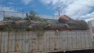 VENTA Y COMPRA DE PALETS DE MADERA